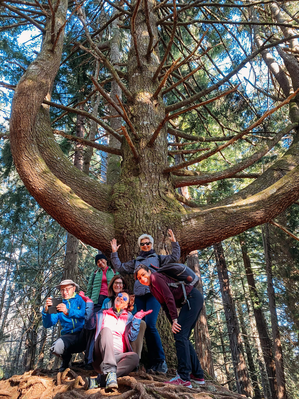 Gruppo di viaggiatori nella foresta di Laurissilva a Madeira, patrimonio UNESCO e area naturale protetta.