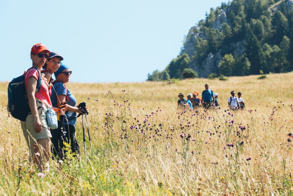 Escursionisti con zaino nei prati dei Carpazi in Transilvania, viaggio attivo tra paesaggi rurali e natura incontaminata