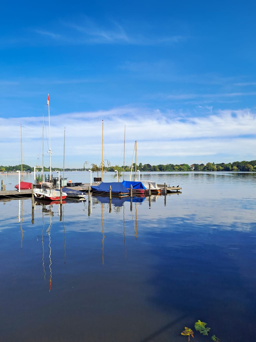 Barche a vela ormeggiate in un porticciolo della Svezia, acque calme e cielo limpido.