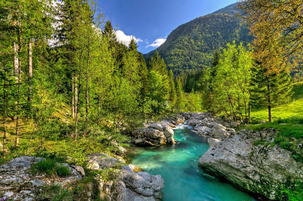 Fiume Isonzo dalle acque cristalline circondato da boschi nelle Alpi Giulie, Slovenia.