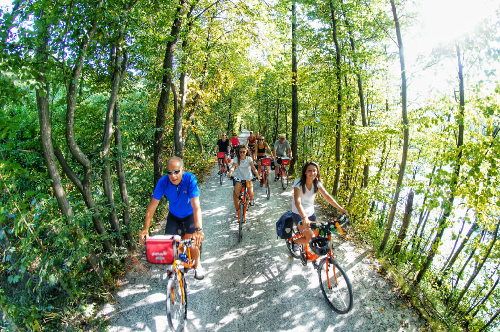 Gruppo di ciclisti attraversa una foresta lungo ciclabile in Austria, vacanze in bicicletta lungo le più belle piste ciclabili d'Europa