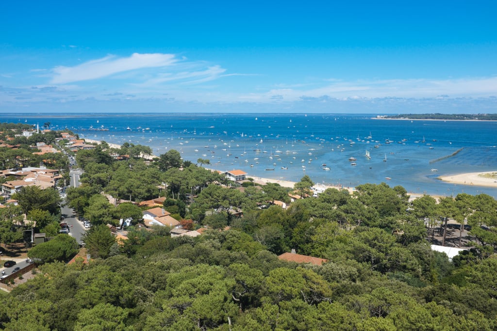 Veduta panoramica del paesaggio costiero della Baia di Arcachon, con foreste e mare.