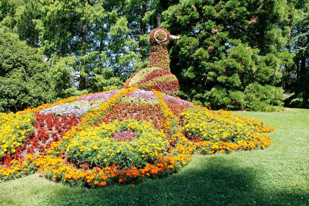 Aiola floreale decorativa a forma di pesce in Svizzera, lungo un itinerario cicloturistico