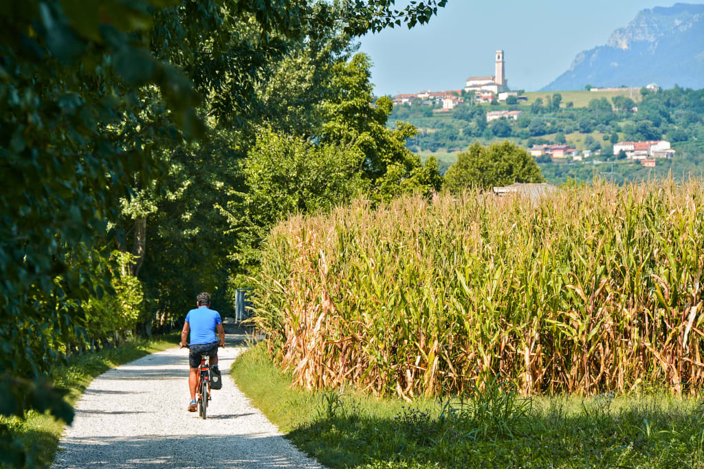 Cicloturista, campo di grano, paesaggio verde, vacanza all'aria aperta, Sandrigo, valle del Brenta, Veneto