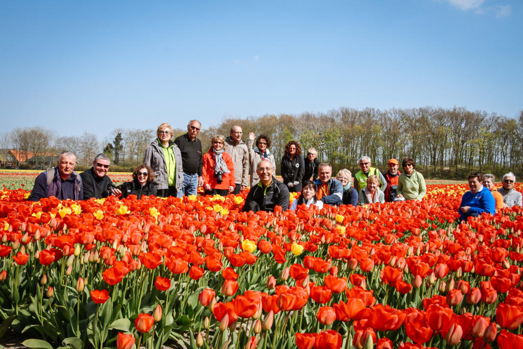 Gruppenreise mit "Girolibero“, Gruppenfoto inmitten eines blühenden Tulpenfeldes, Holland