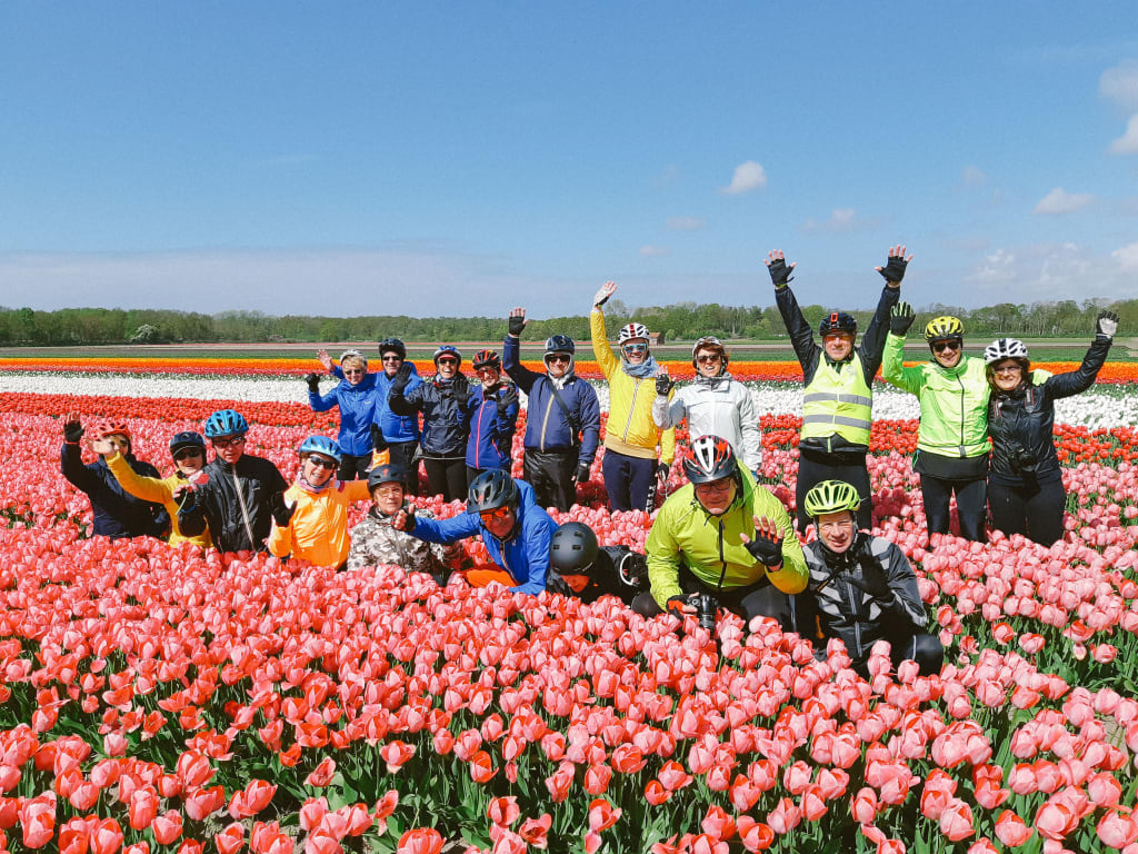 Gruppo di ciclisti in viaggio con "Girolibero" visitano un campo di tulipani a Keukenhof durante la stagione delle fioriture, viaggi di gruppo in bici in Olanda.