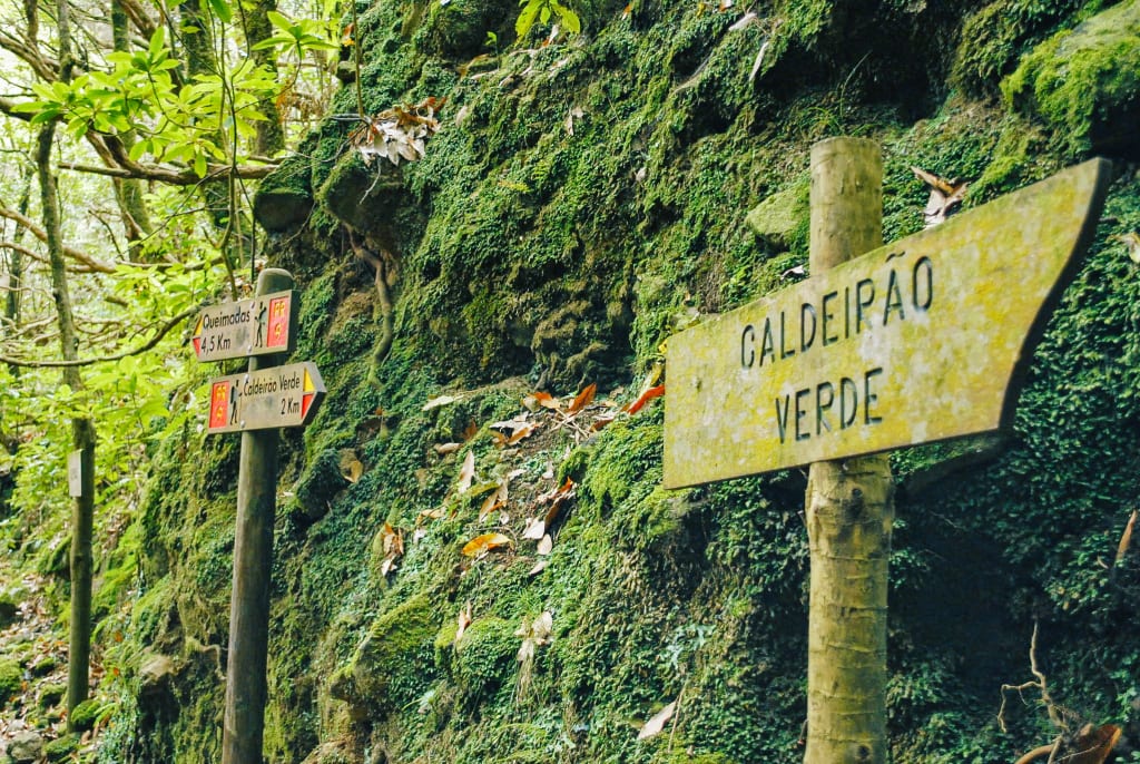 Cartello del sentiero "Levada do Rei" nella foresta di Laurisilva, Madeira