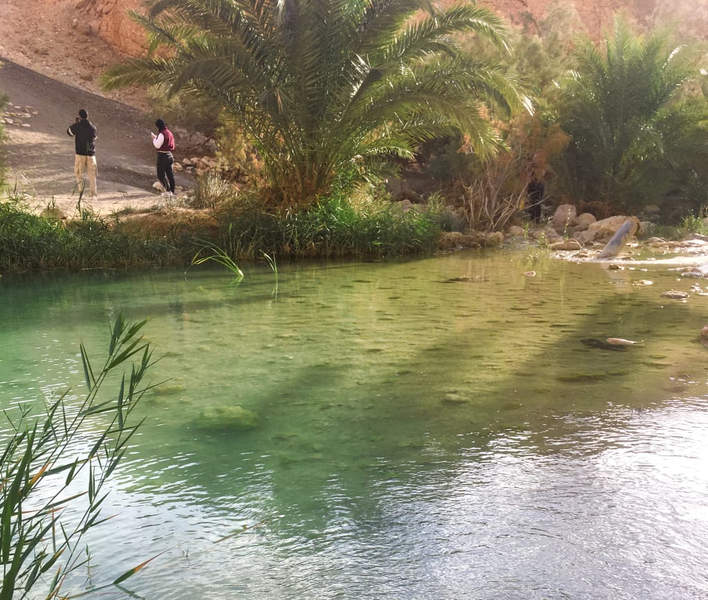Sorgente d’acqua smeraldo nell’oasi di Chebika, Tunisia