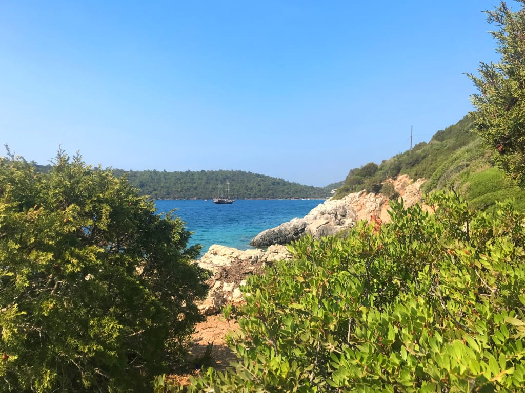Collina verde con alberi e vista sul mare