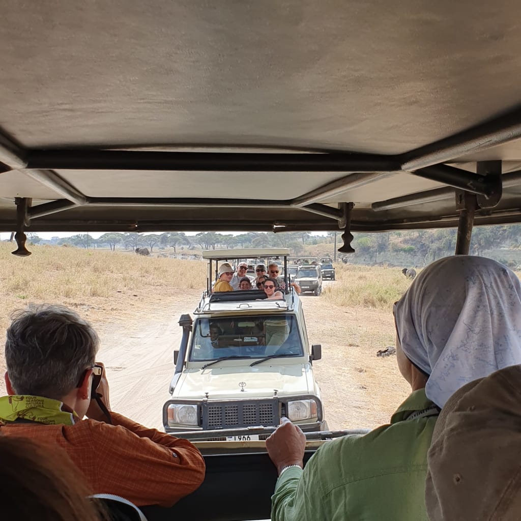 Turisti in fuoristrada durante un safari nel Parco del Serengeti, osservando la fauna africana.