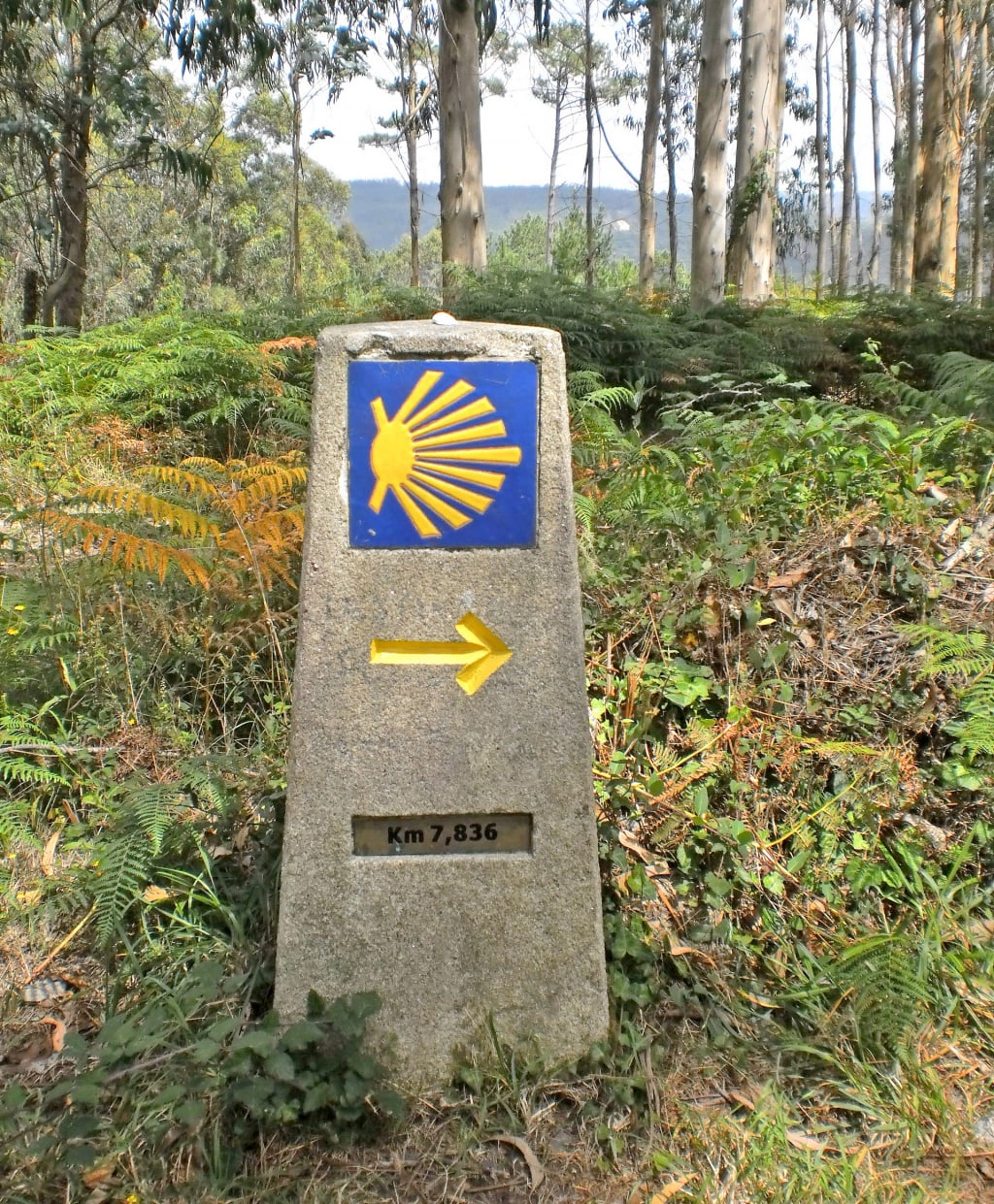 Segnavia in pietra del Cammino di Santiago in Galizia