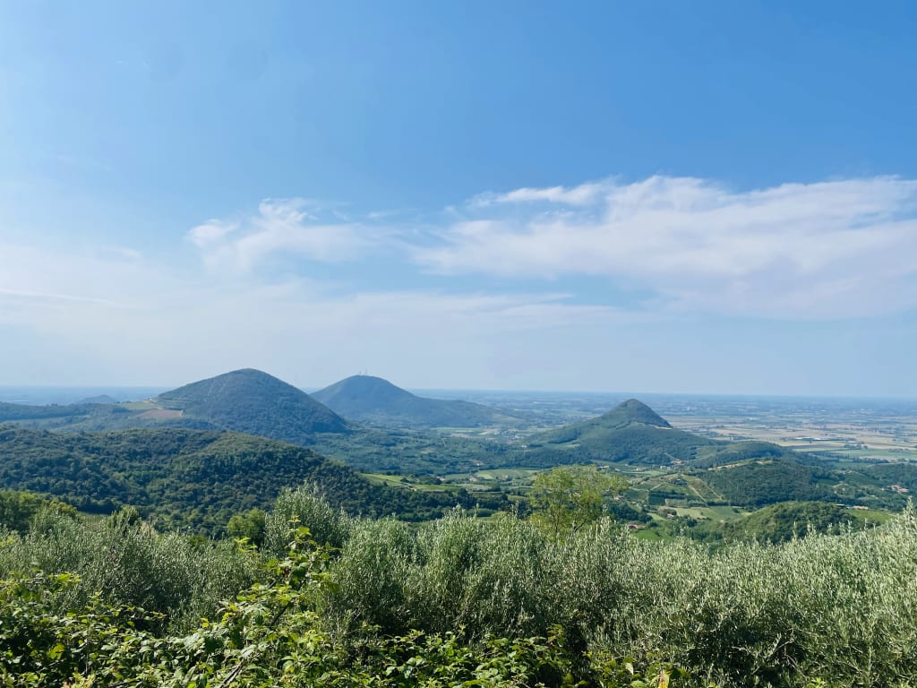 Panorama dei Colli Euganei con campi e vigneti