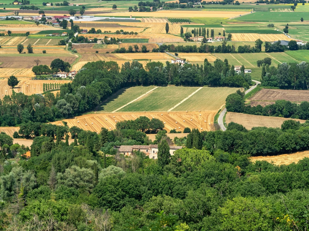 Veduta panoramica sulle colline coltivate e vigneti nei pressi di Montepulciano, Toscana.
