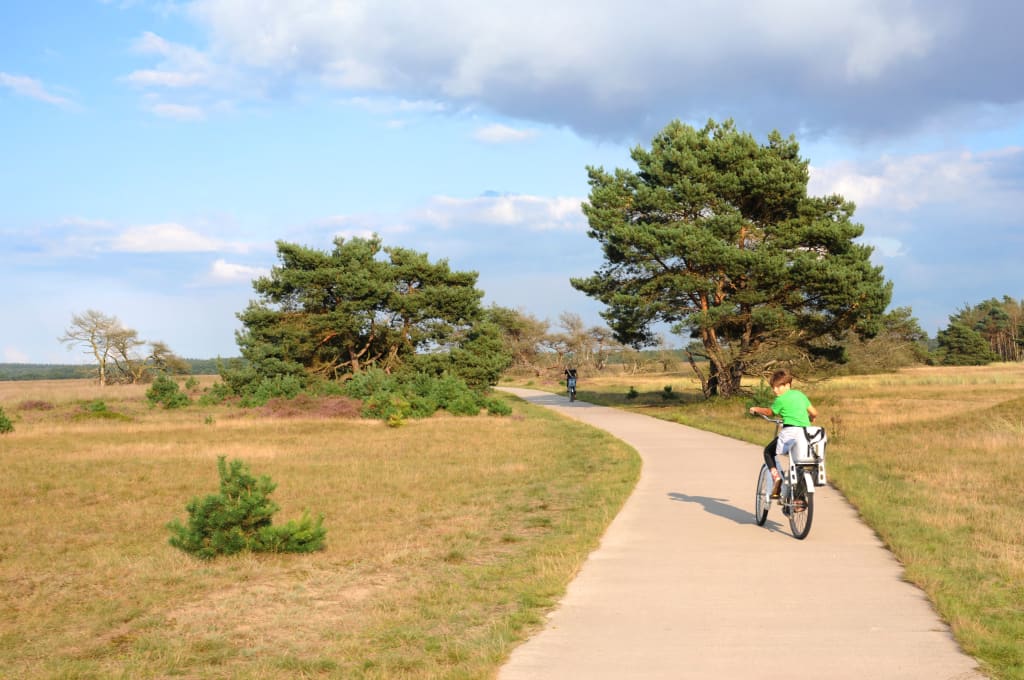 Ciclista su pista ciclabile immersa nella natura olandese, vacanza in bicicletta tra campagna e aree protette.