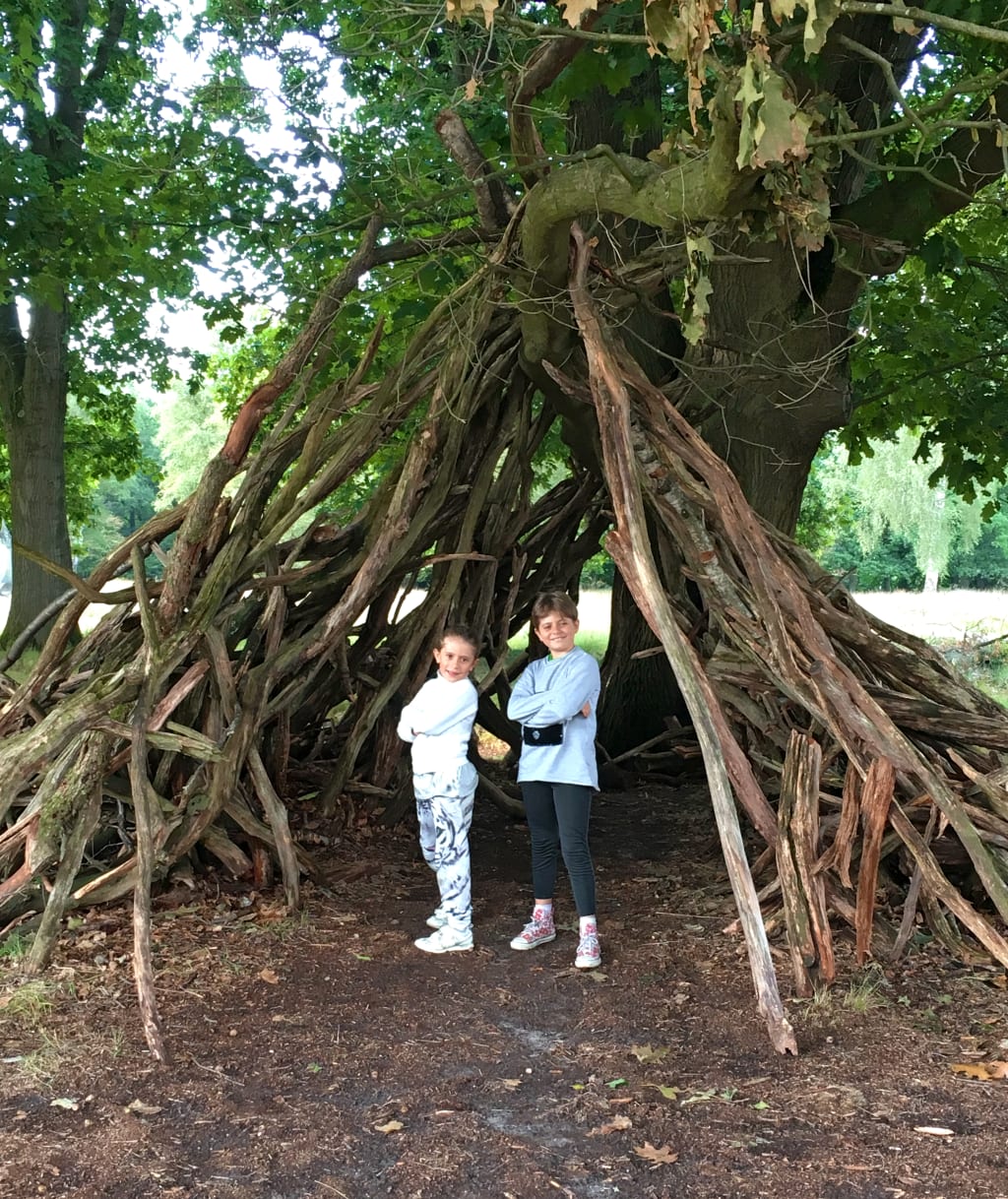 Bambini che esplorano le radici di un grande albero monumentale, esperienza naturalistica durante un viaggio nei Paesi Bassi.