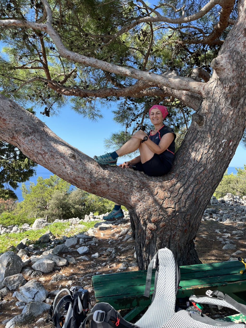 Escursionista seduta tra i rami di un grande albero durante una pausa lungo un itinerario di trekking in Croazia.