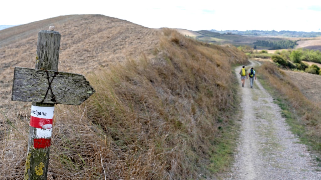 Sentiero della Via Francigena tra le colline toscane, con segnaletica rossa e bianca.