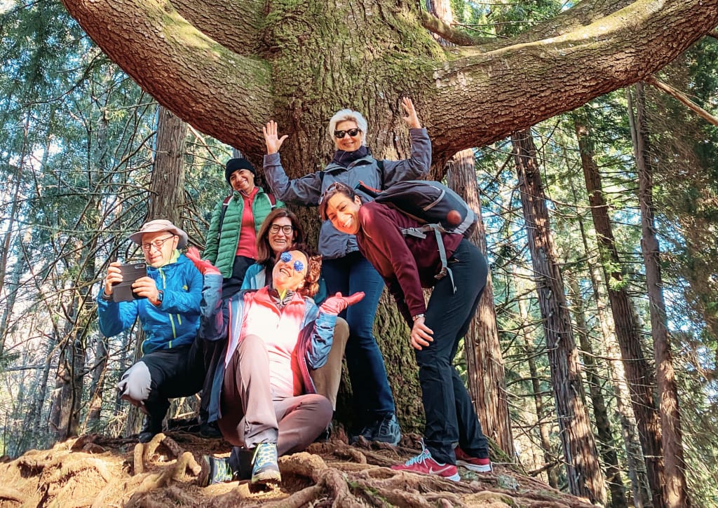 Gruppo in posa sotto un grande albero nella foresta di pinete a Levadas, Portogallo.