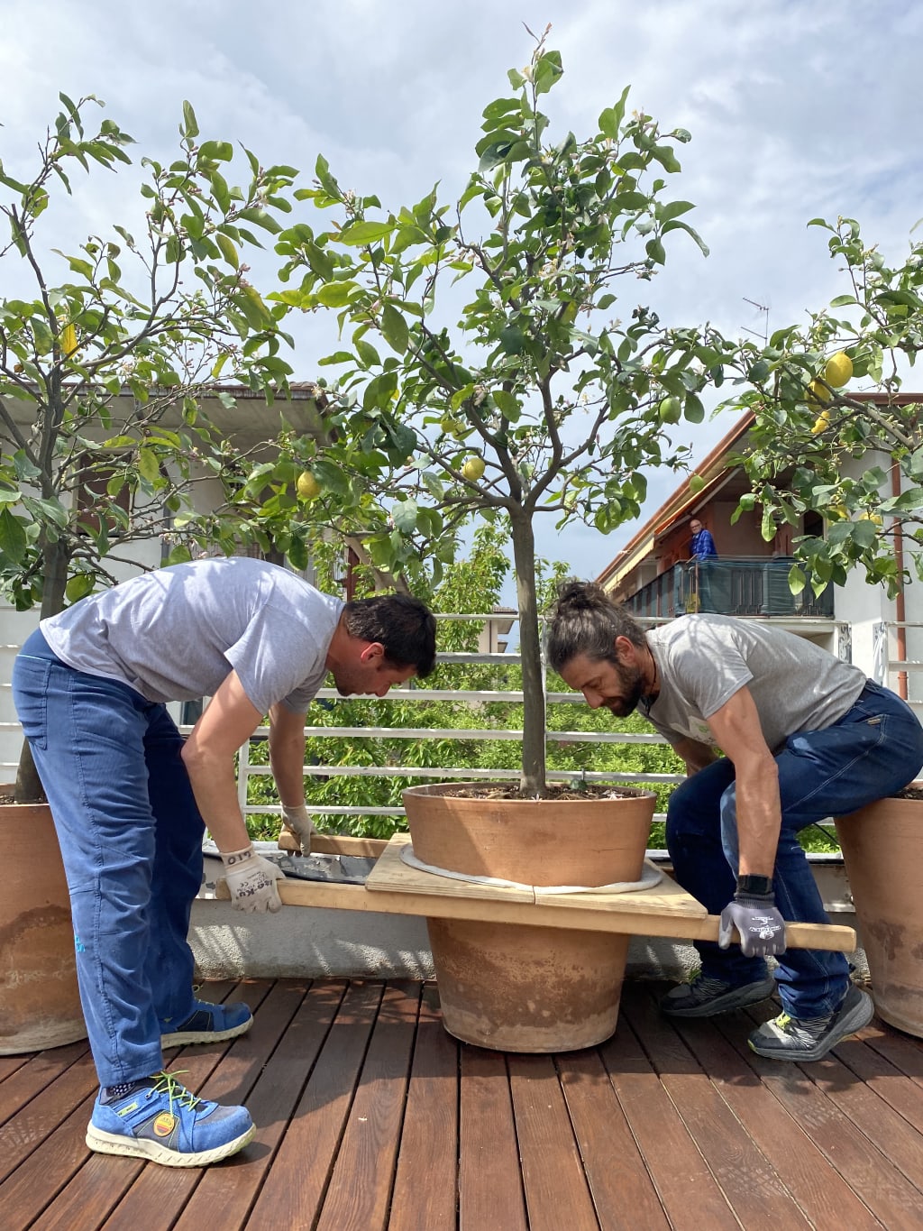 Attività di giardinaggio sulla terrazza della sede di Girolibero