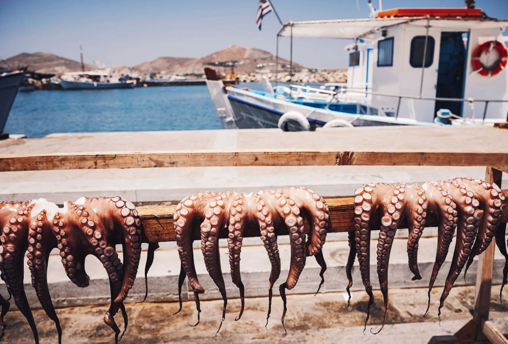 File di polpi essiccati al sole su una barca, isole Cicladi, Grecia.