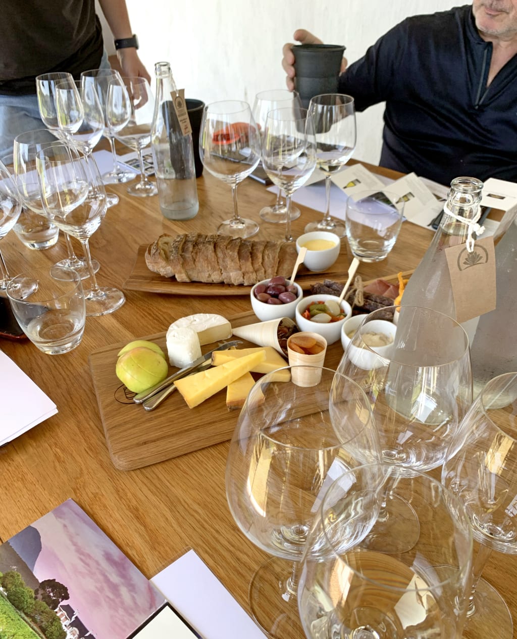 Degustazione di vini sudafricani a Stellenbosch, Sudafrica esperienza enogastronomica