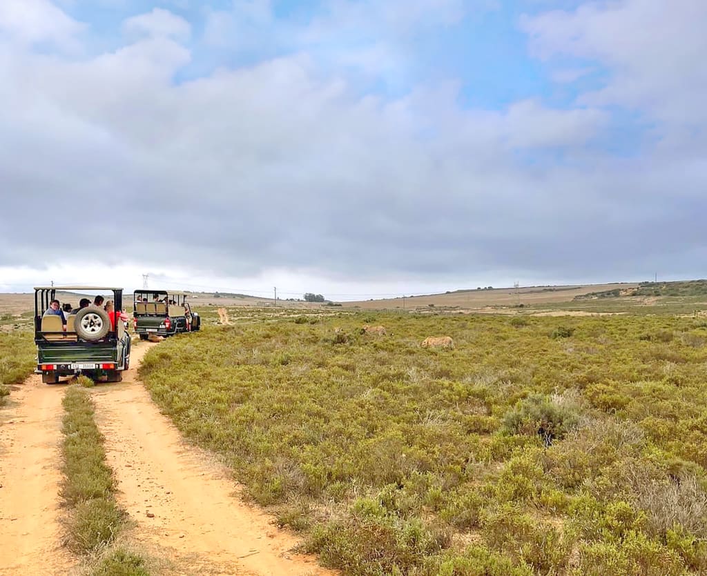 Safari in jeep al Krugher National Park, Sudafrica