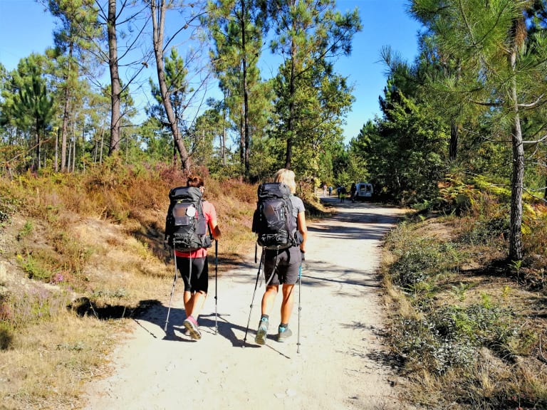 Pellegrini che camminano lungo un sentiero alberato sul Cammino di Santiago, Spagna, in una giornata soleggiata.