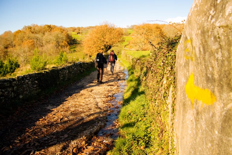 camminatori su un percorso tra la natura in Galizia sul Cammino di Santiago