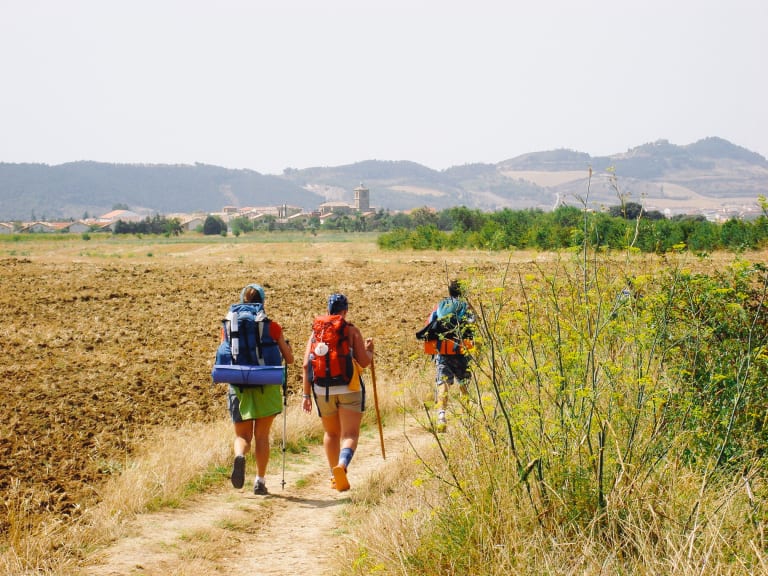 Pellegrini che camminano su un sentiero sterrato attraverso campi dorati sul Cammino di Santiago.