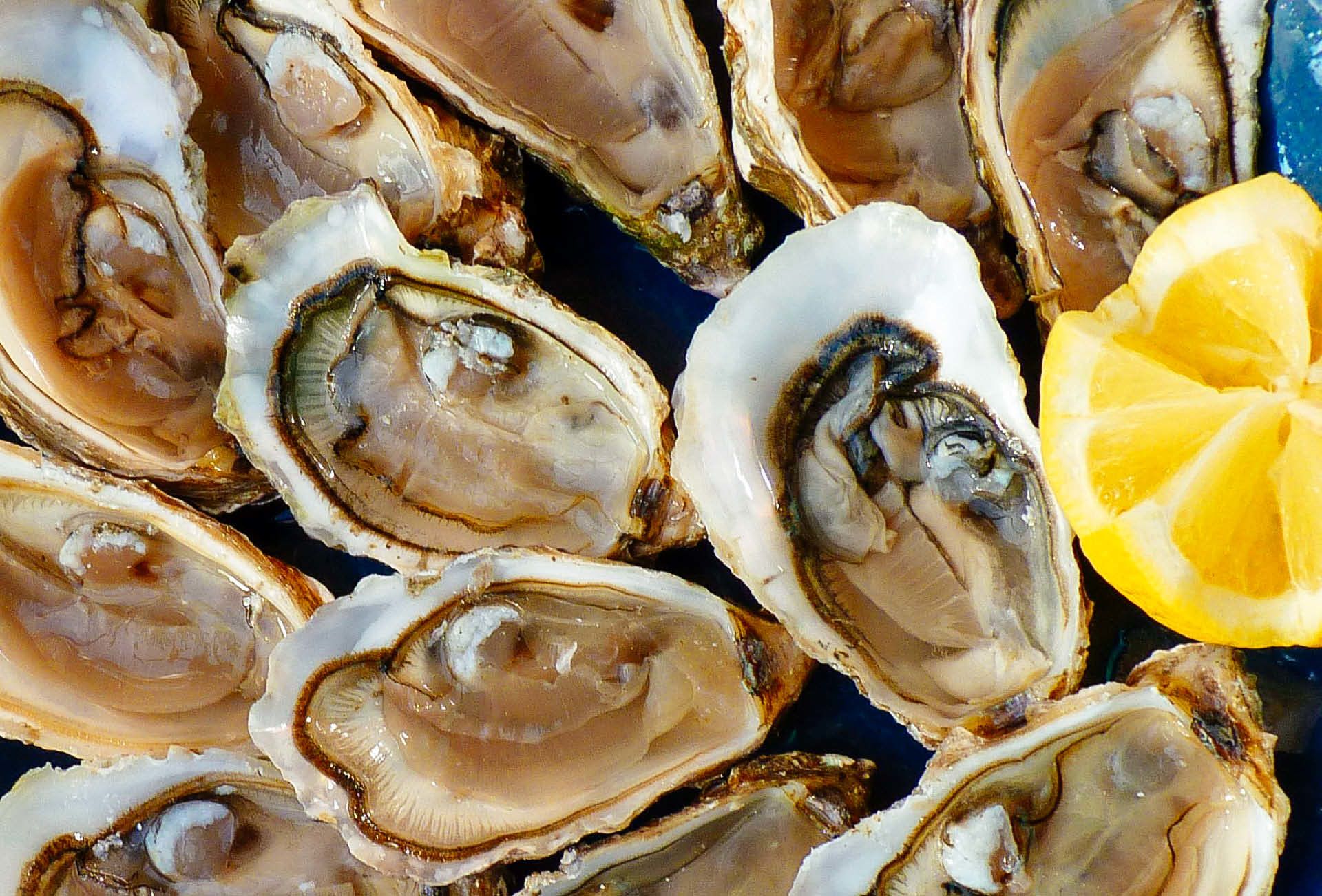 Piatto di ostriche fresche con limone, tipica cucina della costa portoghese.