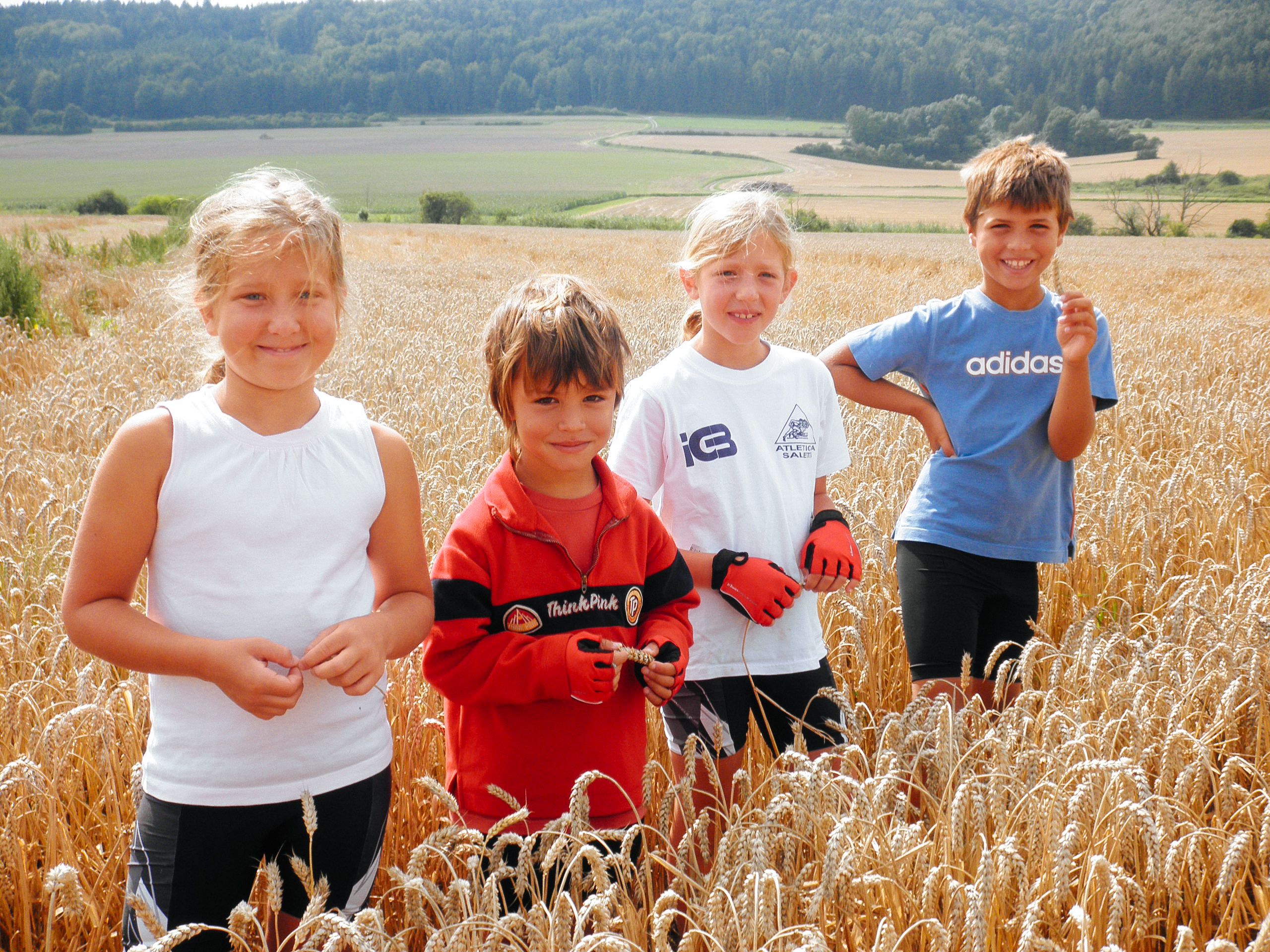 Bambini in un campo di grano, viaggiare in famiglia, vacanze in bicicletta per famiglie, Austria