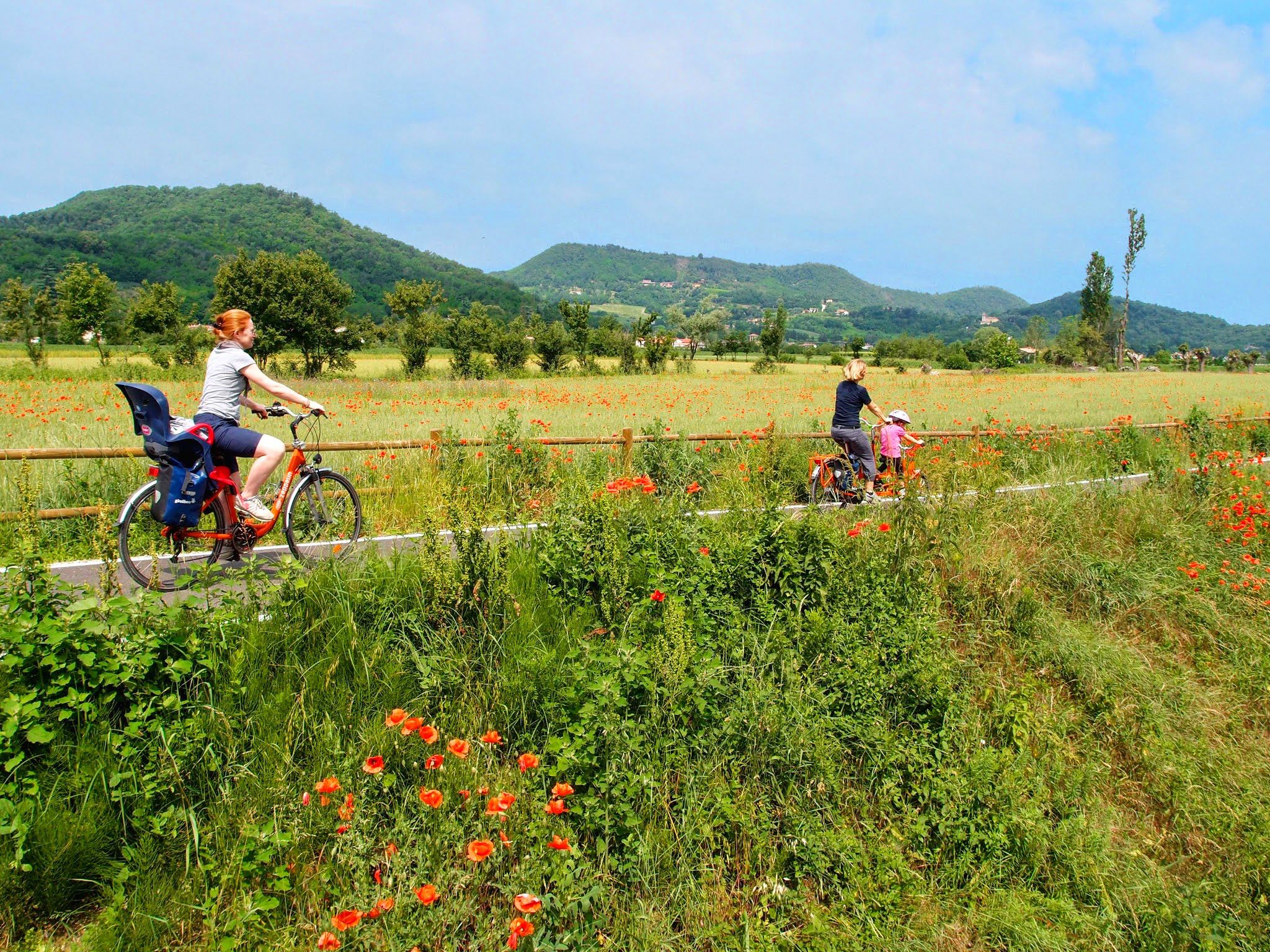 Family pedaling on a cycle path among flowering fields, Euganean Hills