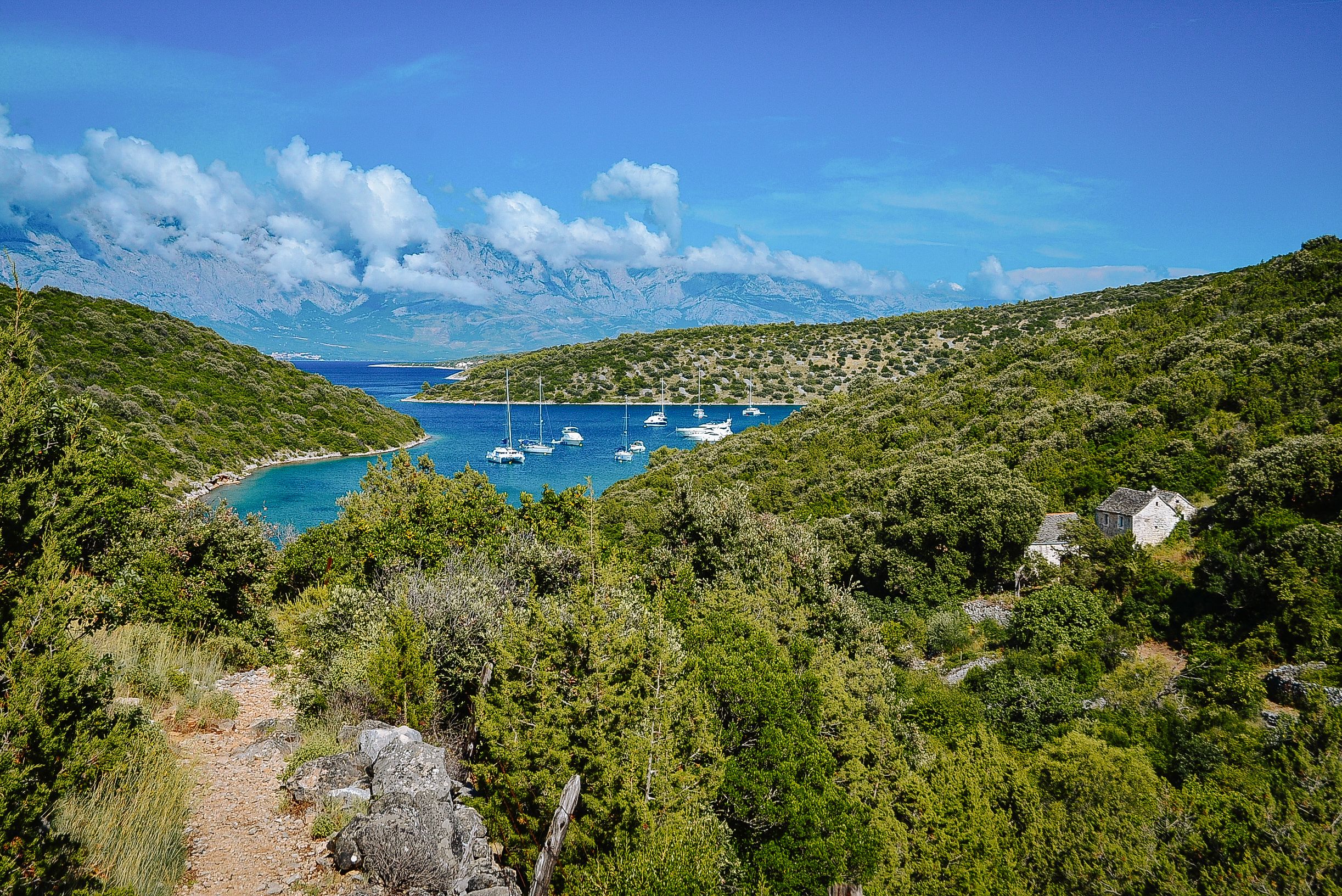 Panoramablick auf eine Bucht mit kristallklarem Wasser und grünen Hügeln, Insel Mljet, Kroatien.