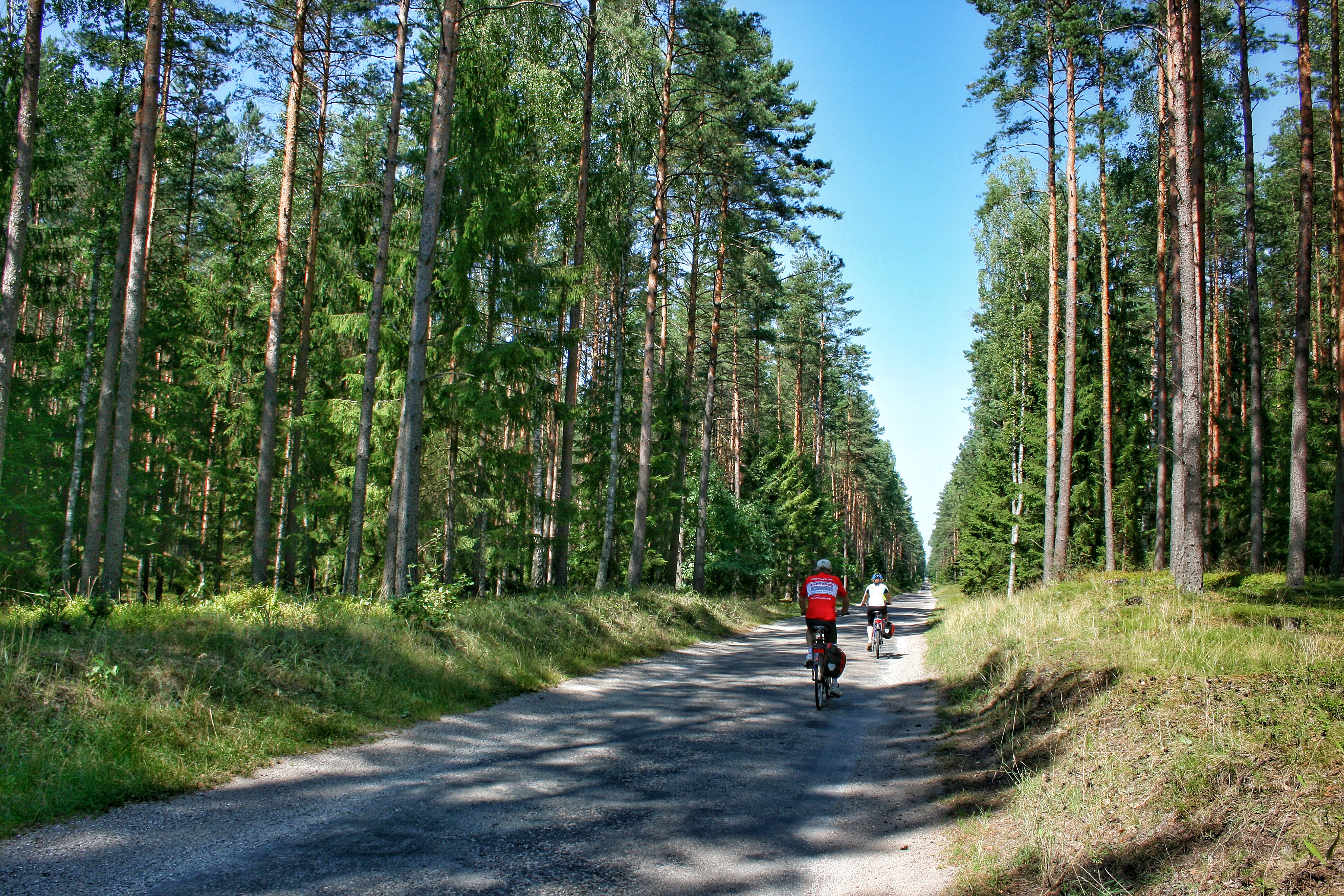 Cicloturisti su una strada di campagna circondata da alberi nella regione dei Laghi Masuri, Polonia.