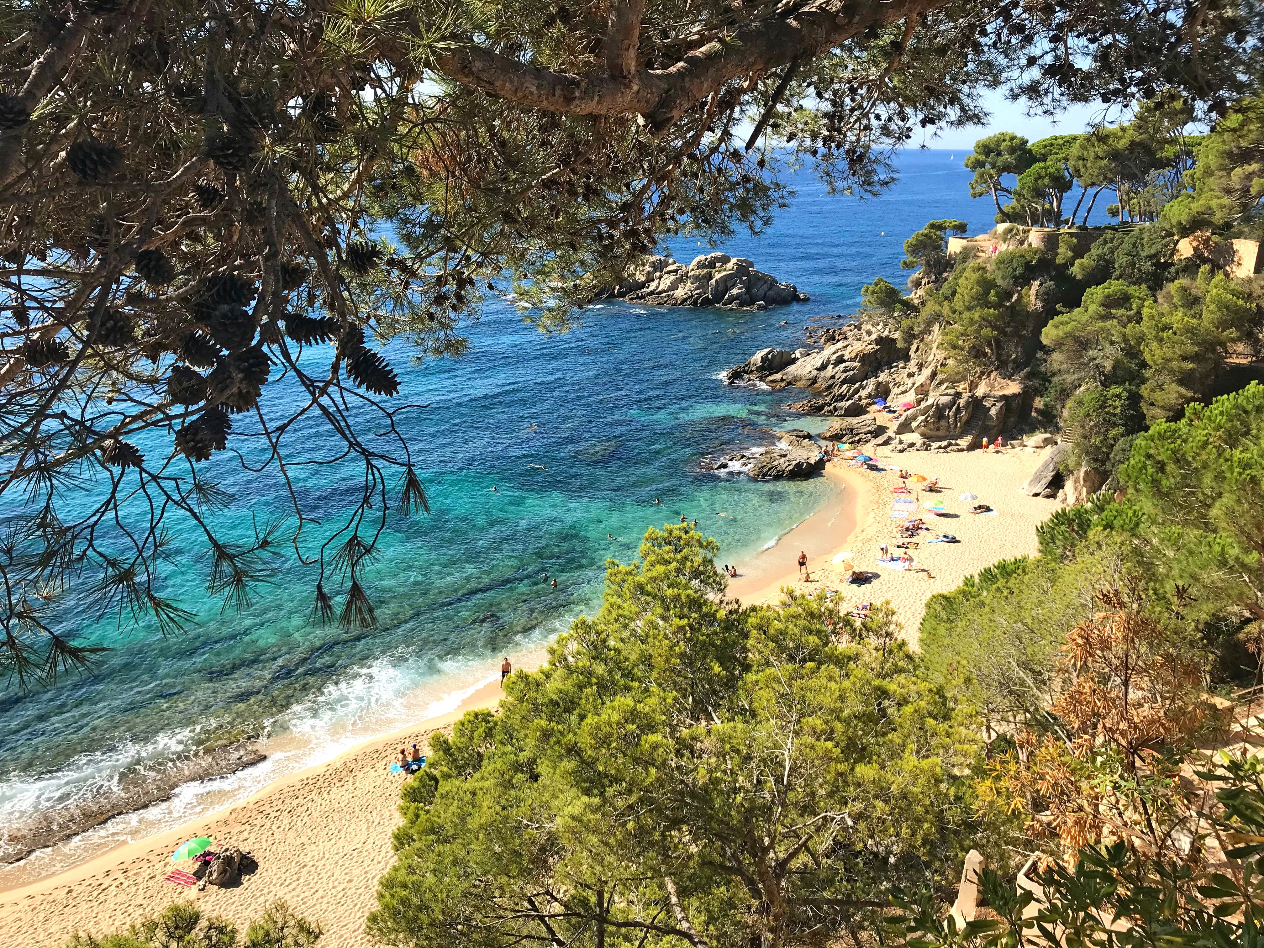 Vista sulla costa rocciosa della Costa Brava, Spagna, con acque turchesi e vegetazione mediterranea.