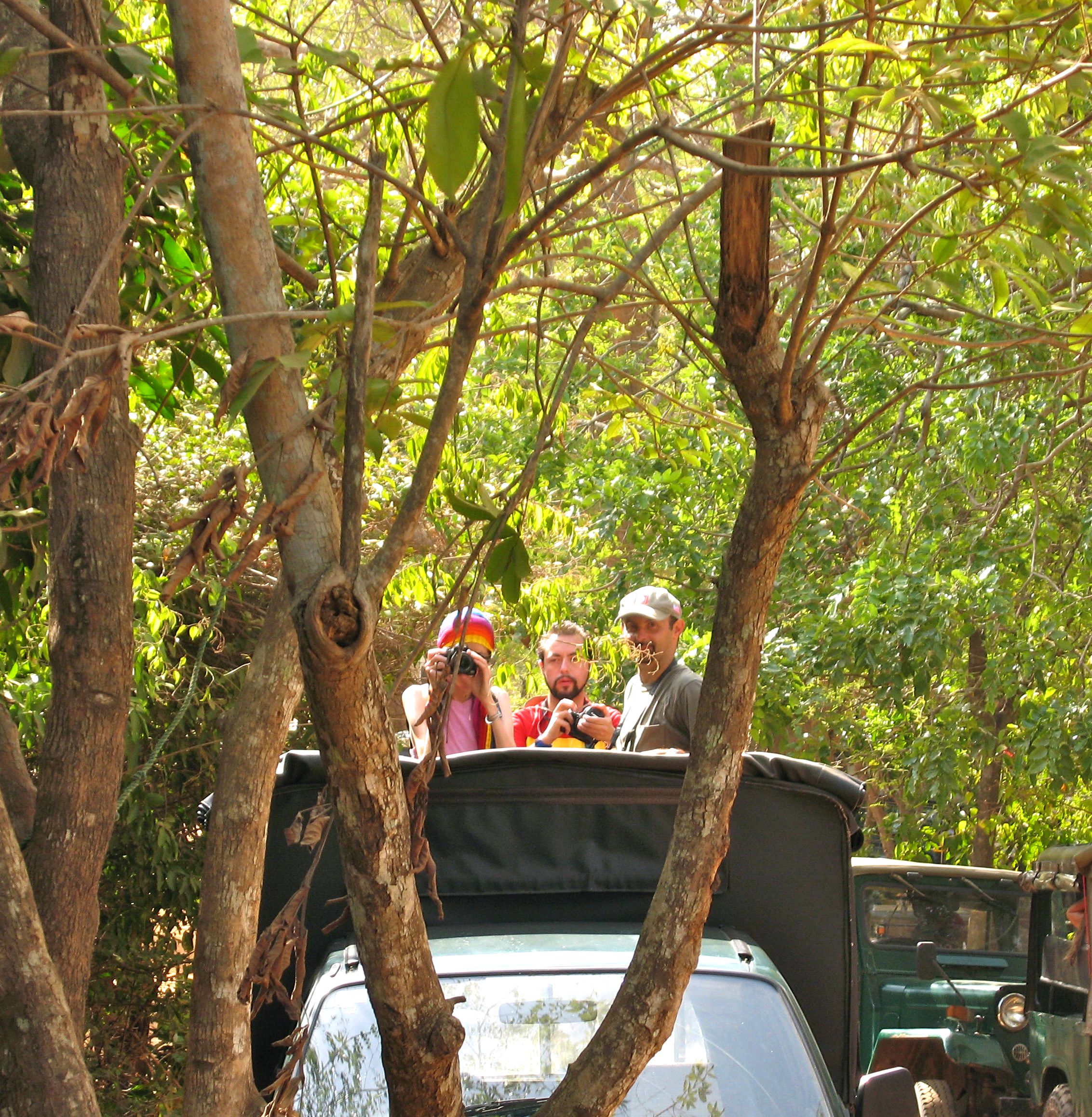 Persone su una jeep durante un tour fotografico nella foresta tropicale, Sri Lanka, tour culturali "Girolibero"