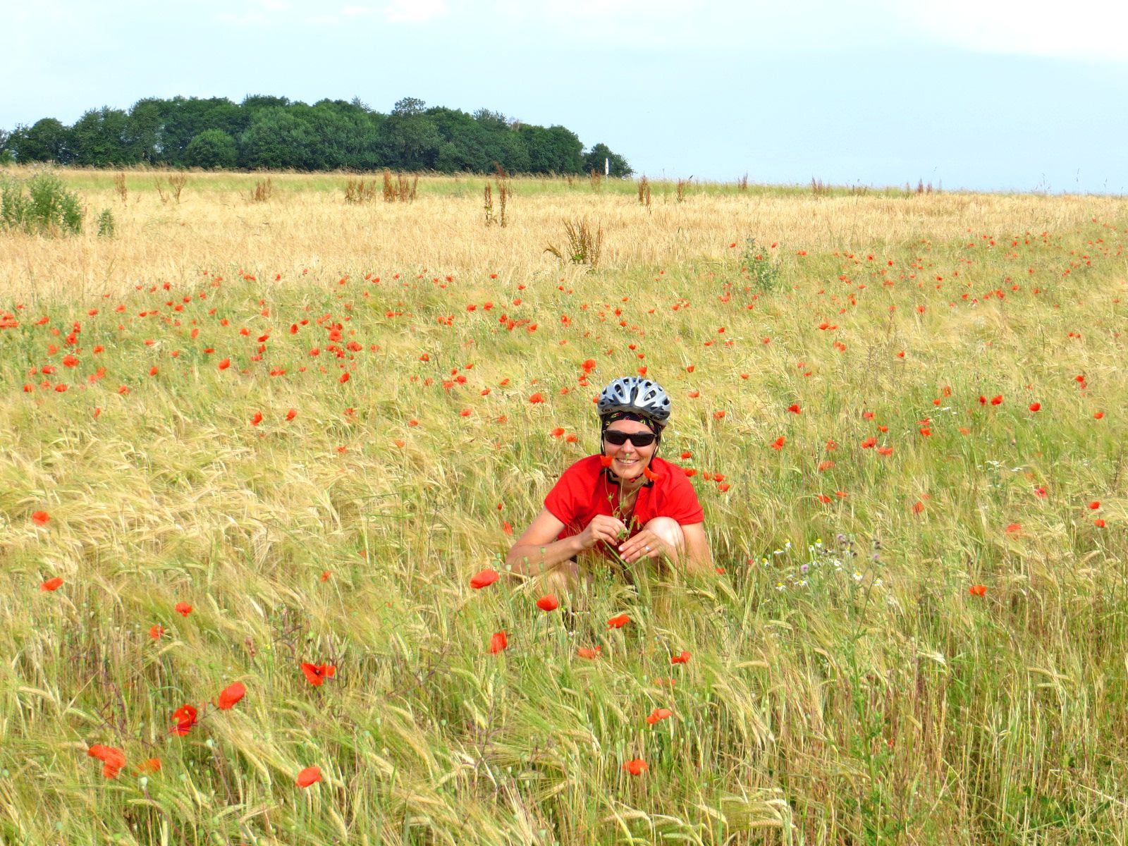 Ciclista in vacanza con Girolibero in una distesa di grano e papaveri nella campagna, con un boschetto sullo sfondo