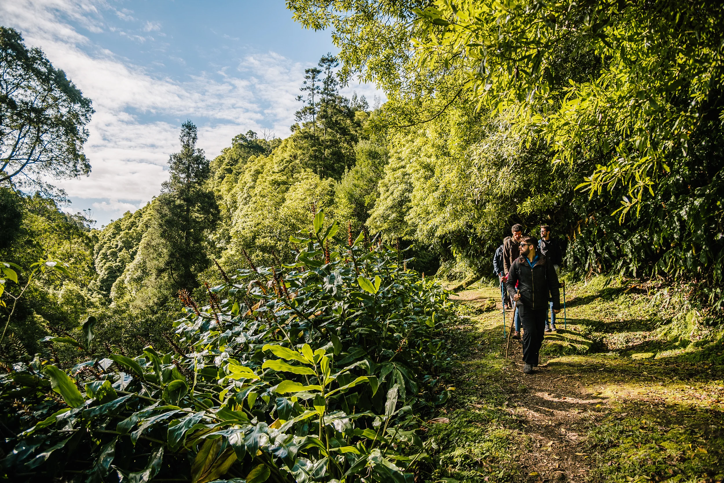 Alla scoperta di São Miguel viaggio a piedi alle Azzorre