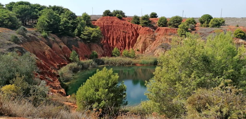 Arbusti e fiori colorati in un paesaggio naturale, Salento.