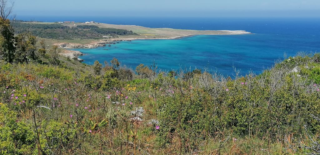 Veduta aerea della Baia dei Turchi, Otranto – spiagge sabbiose e natura protetta in Puglia.