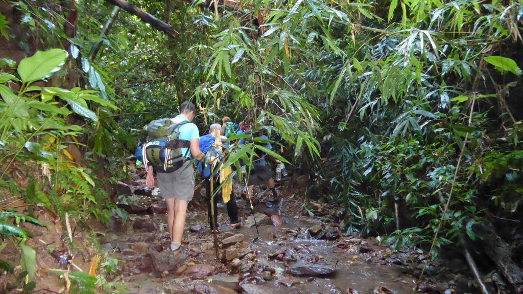 Nam Ha National Park, foreste tropicali lussureggianti, Laos del Nord