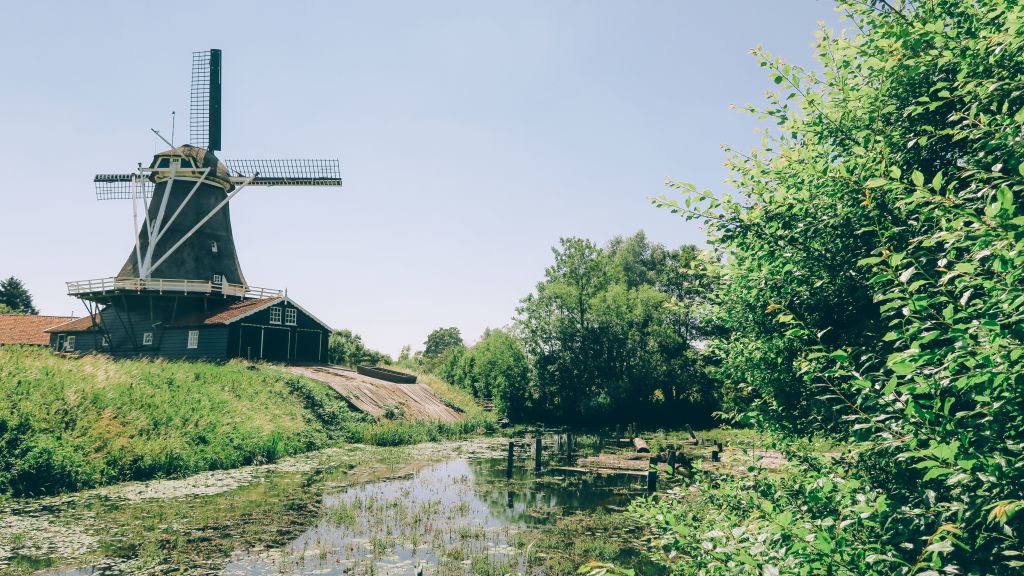 Mulino a vento vicino a un canale circondato da alberi a Zaanse Schans, Olanda.