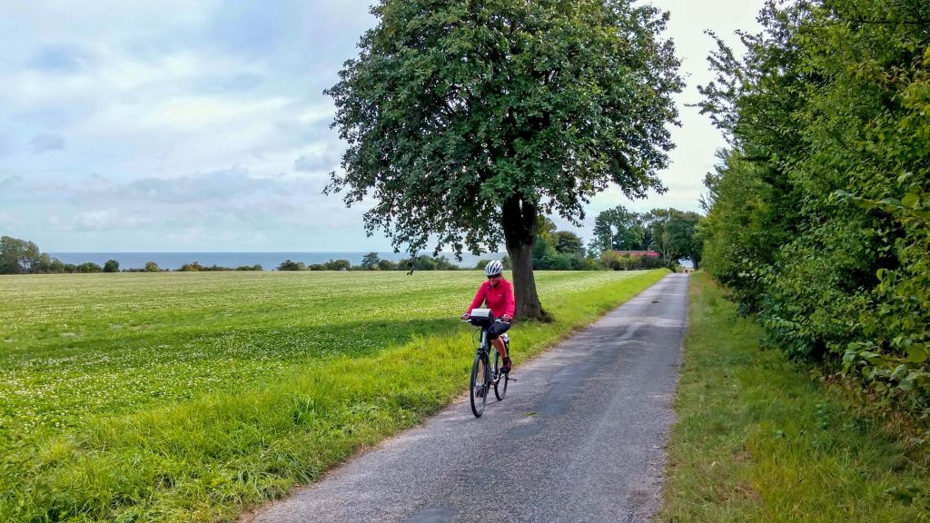 Ciclista su una pista circondata da alberi lungo il tragitto.