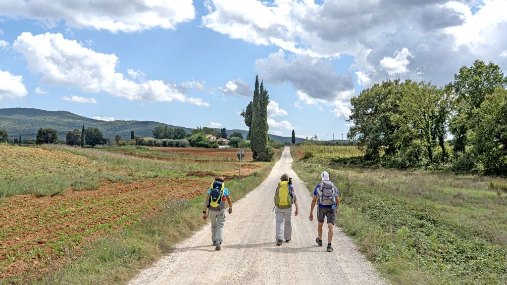 Escursionisti su strada bianca lungo la Via Francigena, circondati dalla campagna toscana, viaggi trekking organizzati Girolibero.