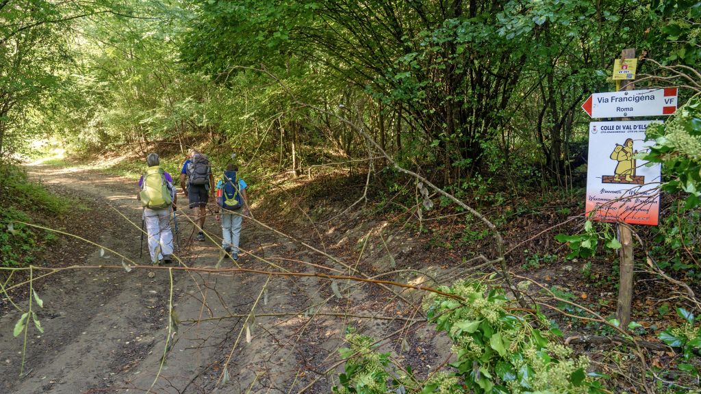 Escursionisti nel bosco, Toscana, accanto a segnaletica informativa.