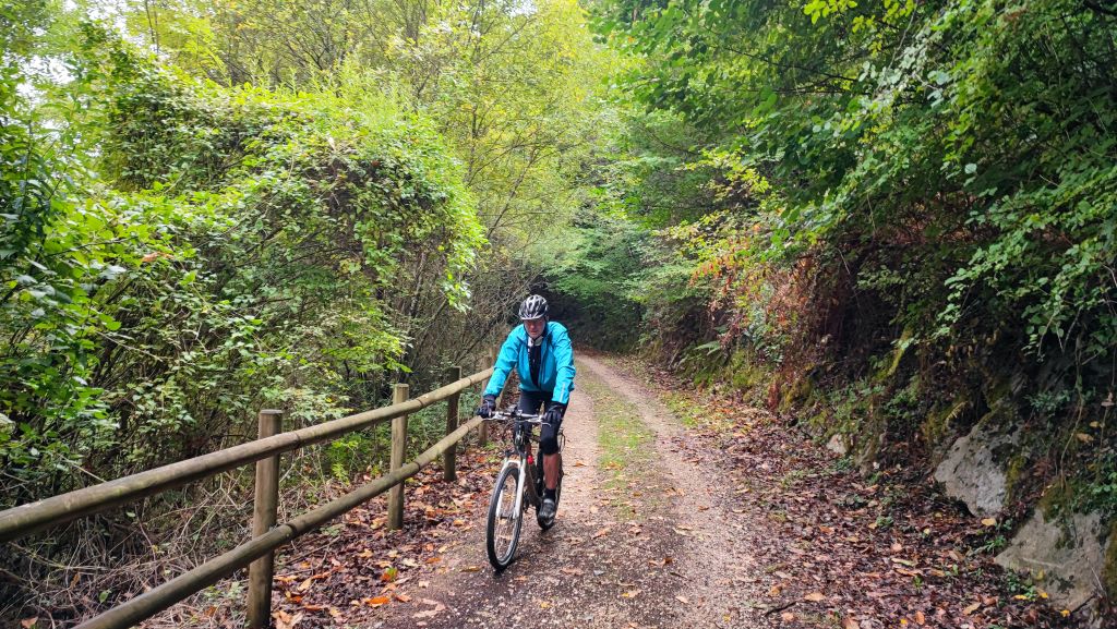 Ciclista su un sentiero ombreggiato tra gli alberi nella regione dei Paesi Baschi, Spagna.
