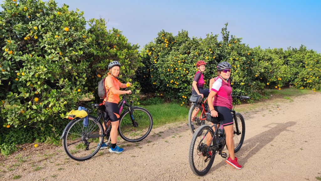 Ciclisti lungo un percorso immerso negli agrumeti della campagna valenciana.