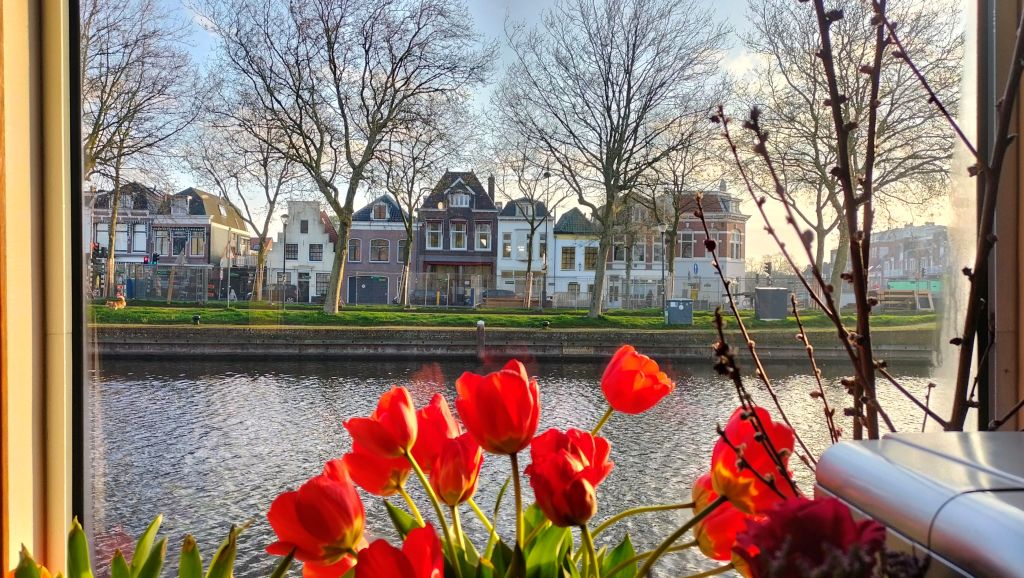 Tulipani rossi in fiore sul davanzale di una finestra con vista su un canale e case caratteristiche sull'altra riva, Amsterdam, Paesi Bassi.