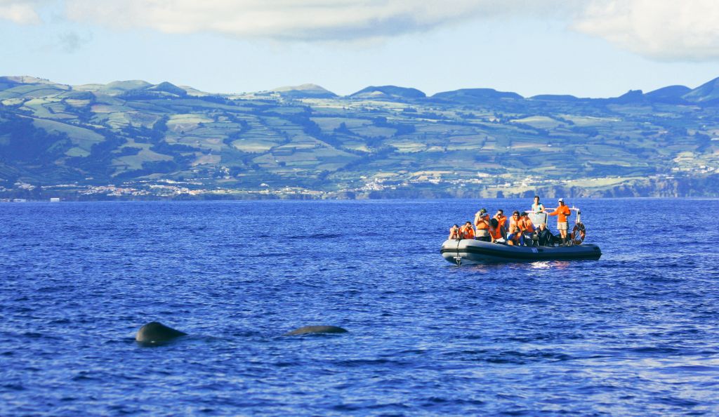 Barca turistica sul mare azzurro, Isole Azzorre.