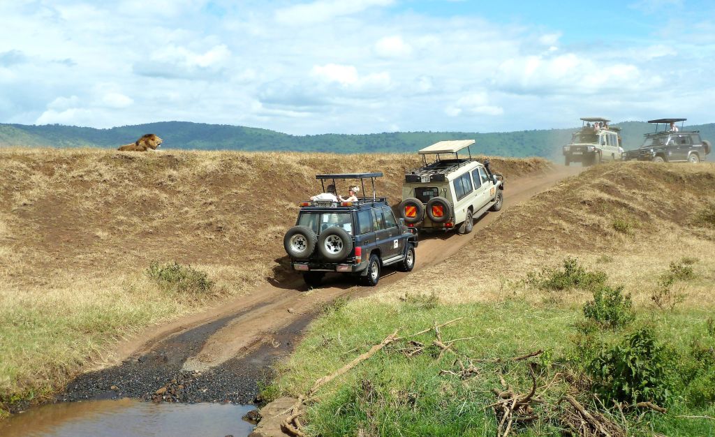 Jeep da safari percorrono una strada sterrata attraverso il paesaggio naturale della savana.